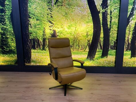 Relaxsessel Modell SW 22002