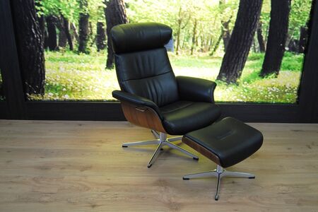 Sessel Modell SW 1303