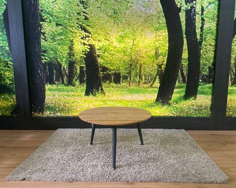 Couchtisch Modell SW 2111