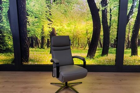 Relaxsessel Modell SW 2508