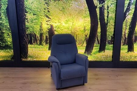 Fernsehsessel Modell SW 1501