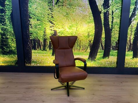 Relaxsessel Modell SW 2509