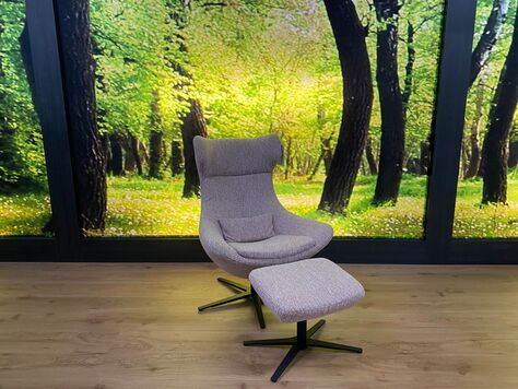 Sessel Modell SW 2119