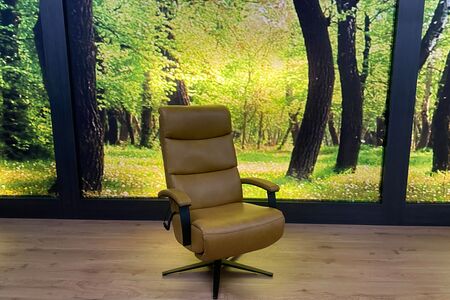 Relaxsessel Modell SW 22002