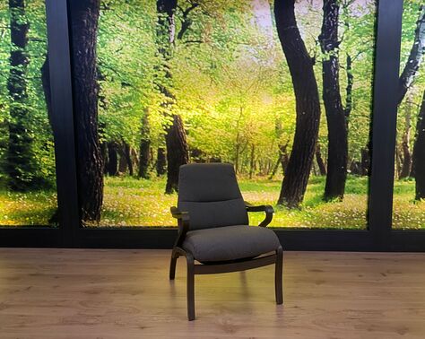 Sessel Modell SW 2411 n