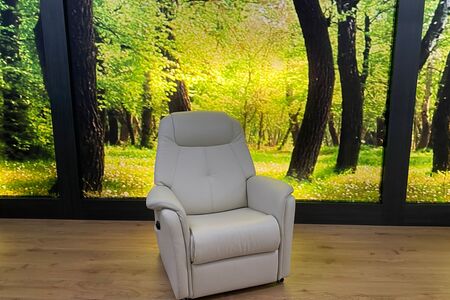 Fernsehsessel Modell SW 1501