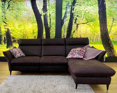 Polstergruppe Modell SW 2206